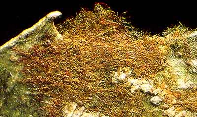 ephemer_5(400) ephemer_5(400)