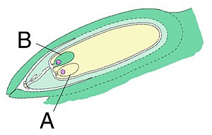 stg14_300